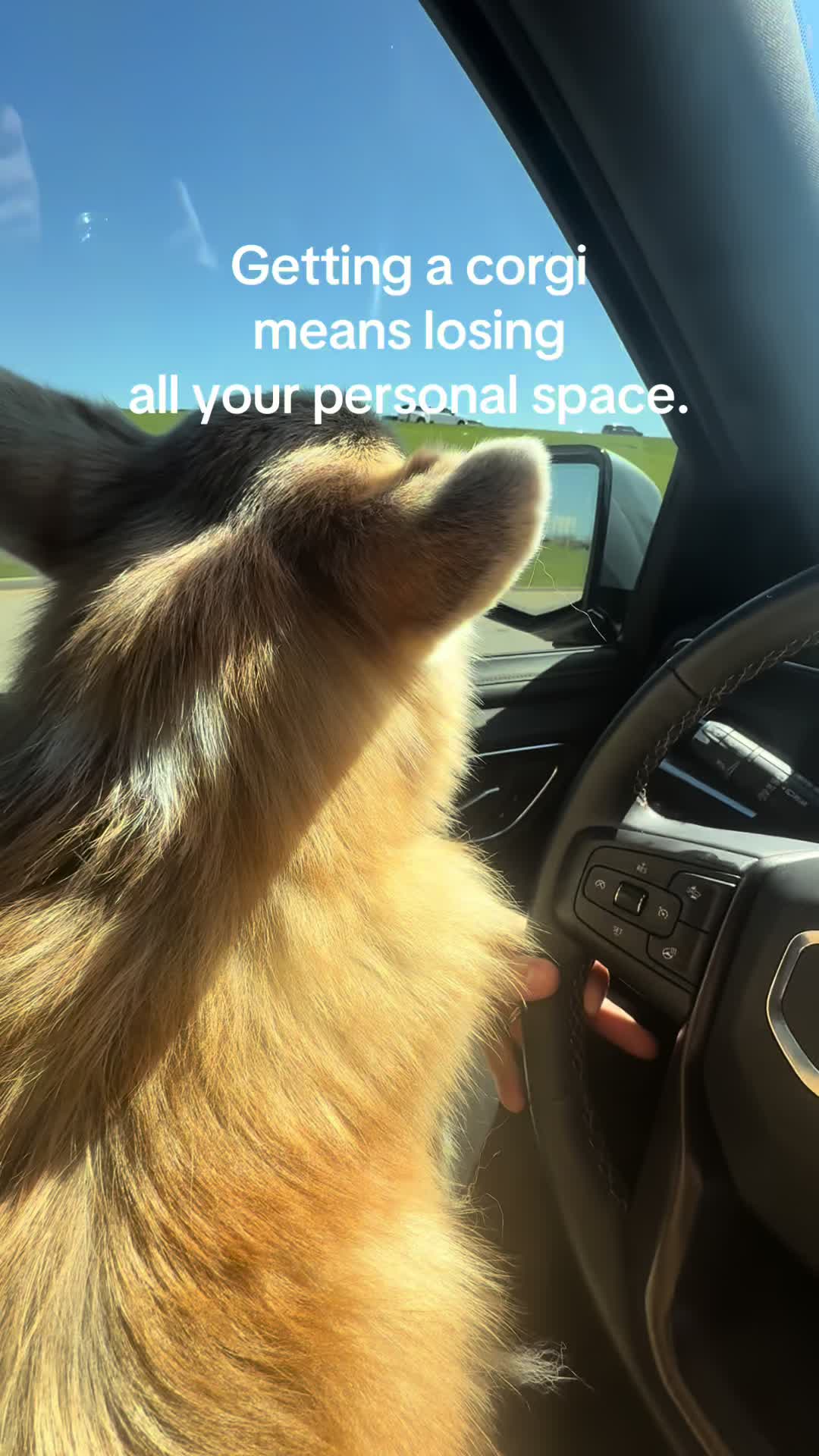 @KCabNet