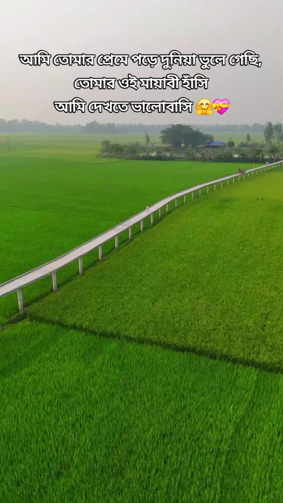 @Kamrujjaman Sojib