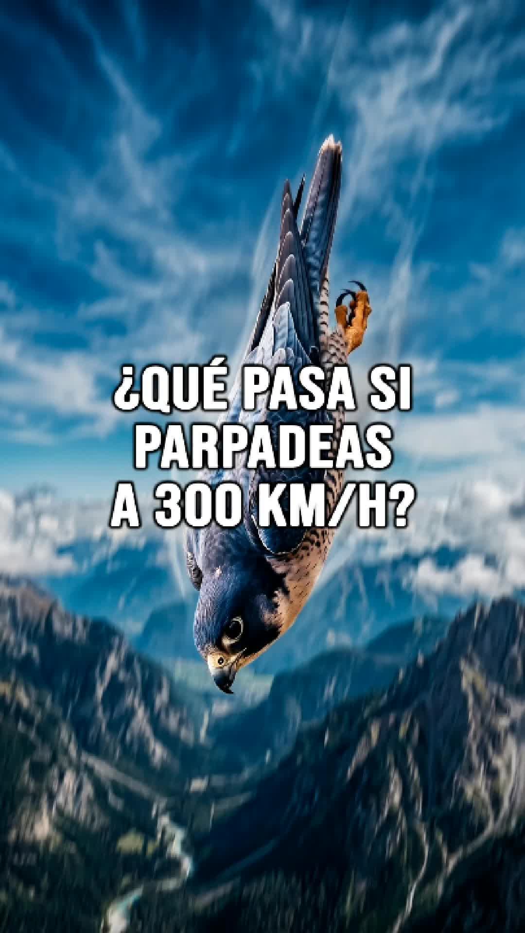 @Reflexiones