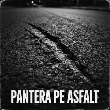 @🔞Pantera🔞 așteaptă🔞 Prada🔞