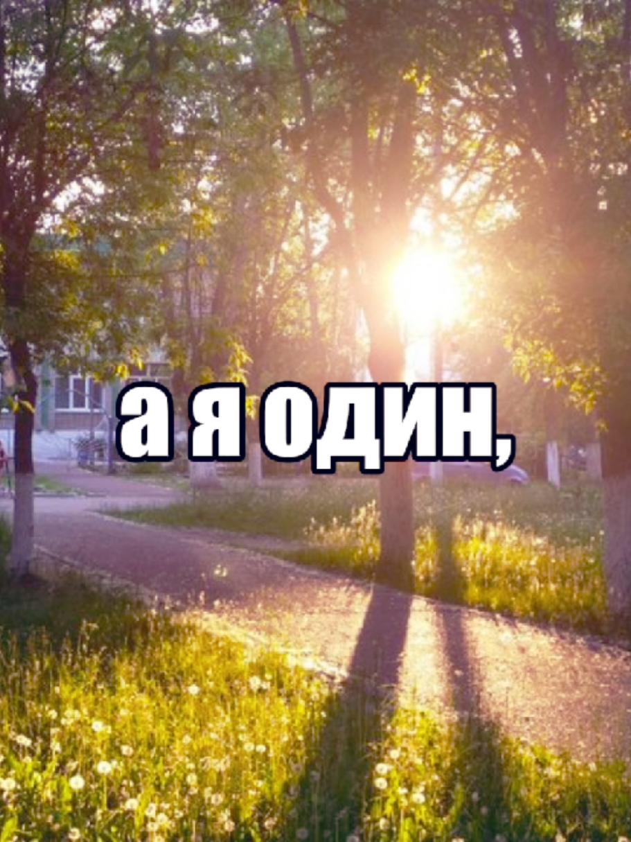 @mitkin