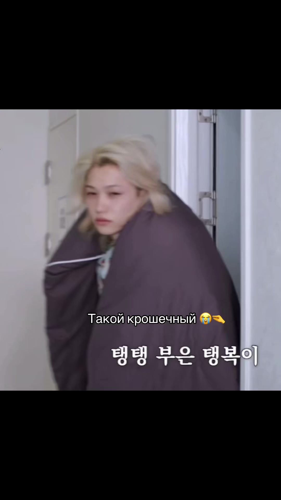 @🤍strayfelixfan_account25🤍