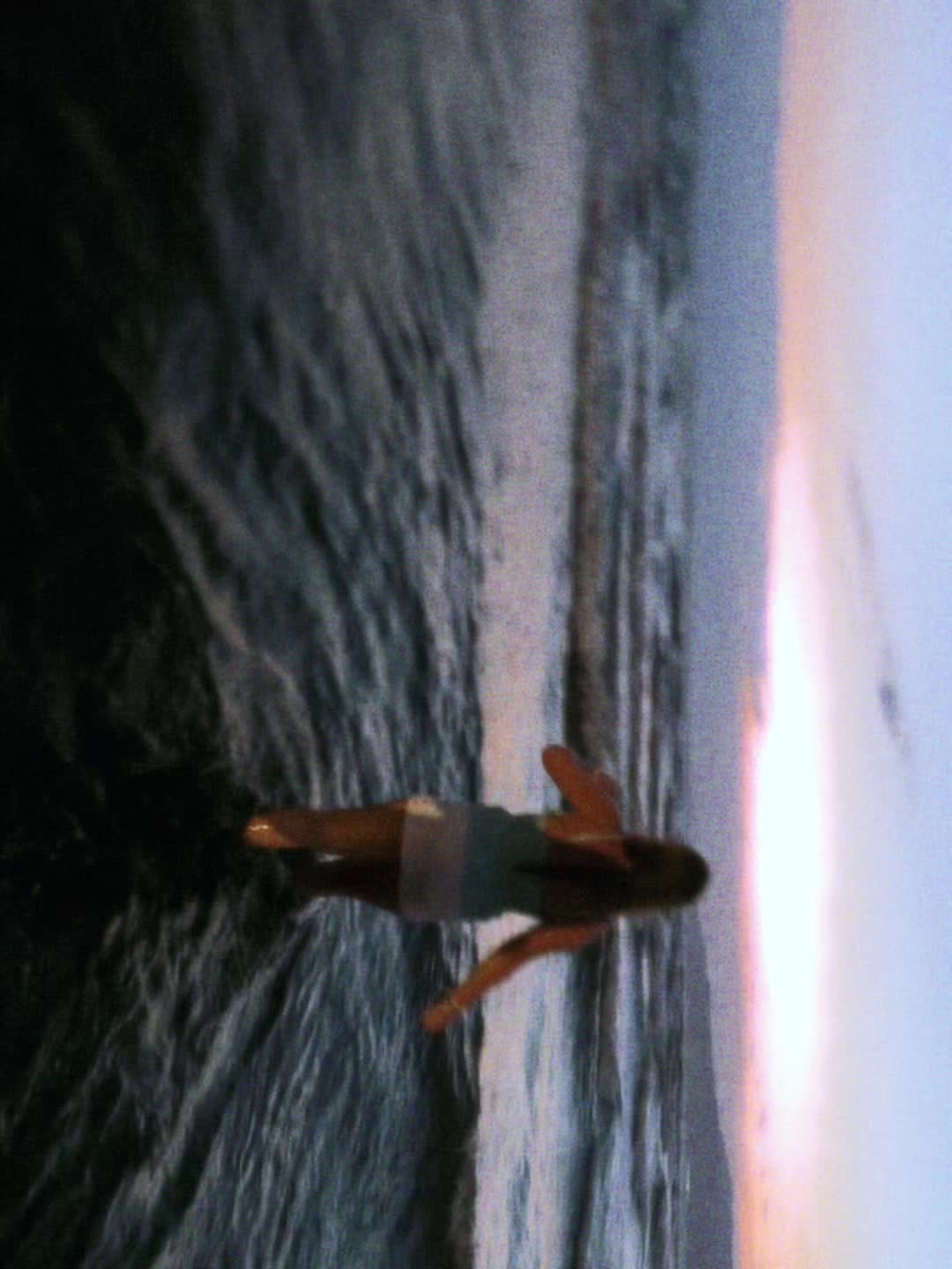 @winterrunner