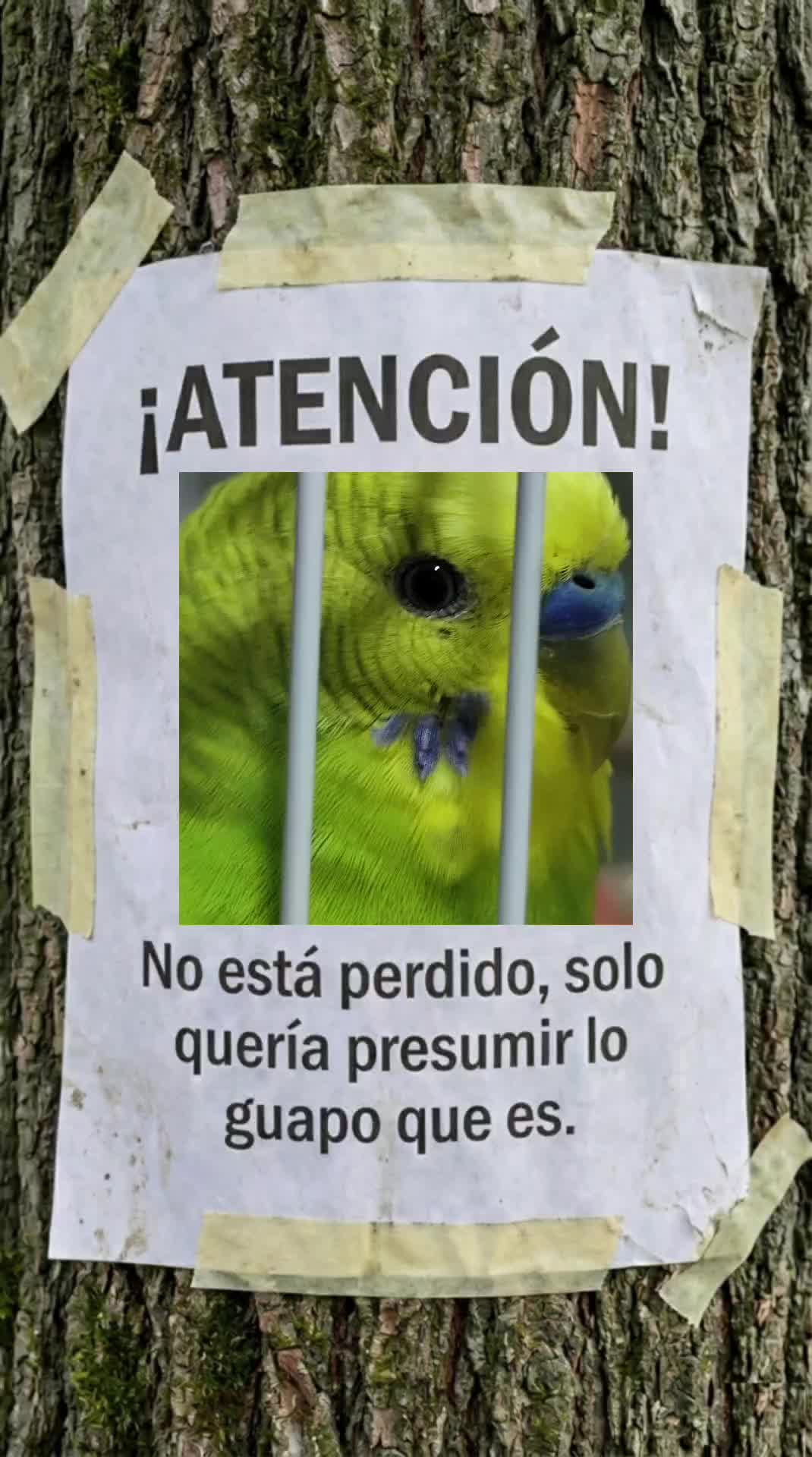 @rackyracky_rumba
