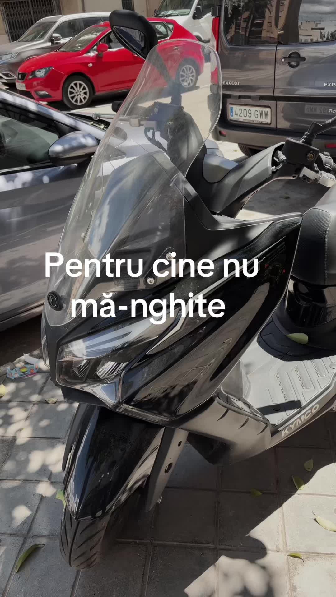 @Geo 👋