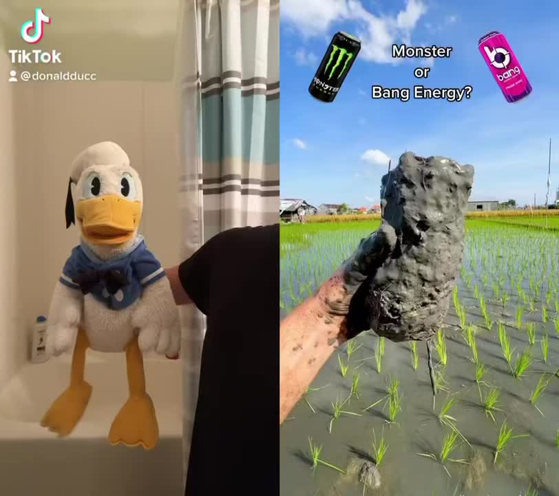@DonaldDucc 🦆