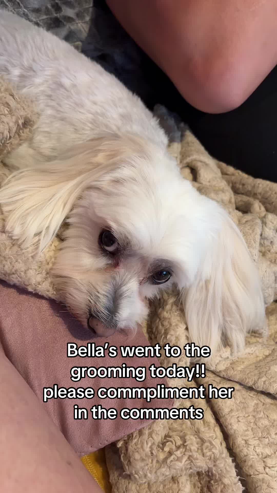 @Bella & Chitzi