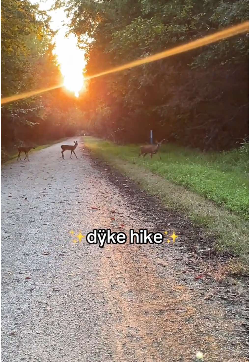 @ca⛓️en