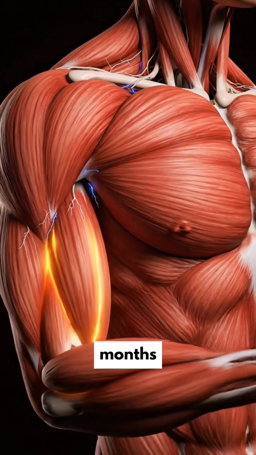 @Flexplained