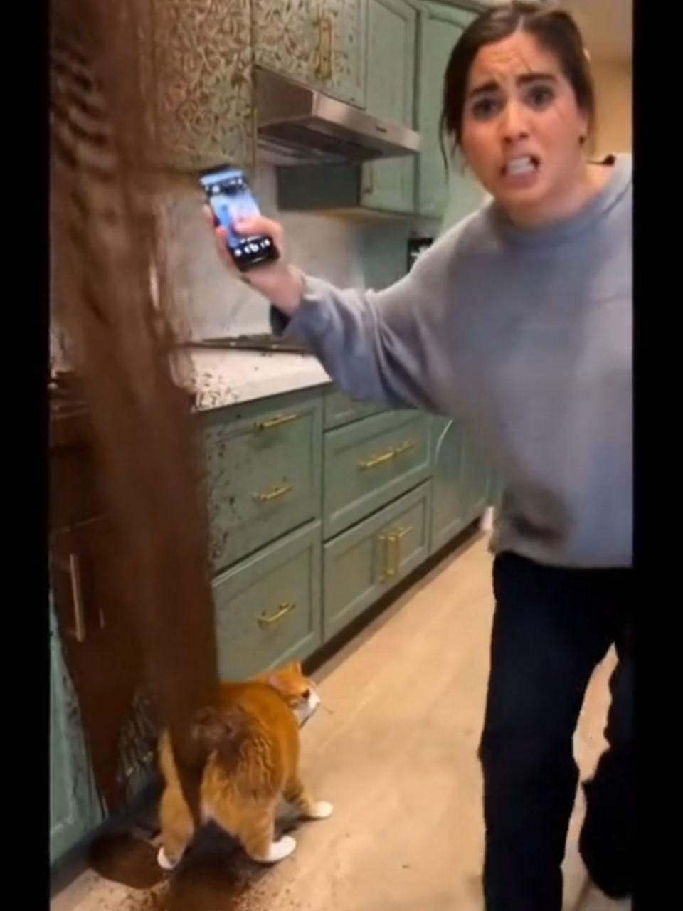@thefelineglitch