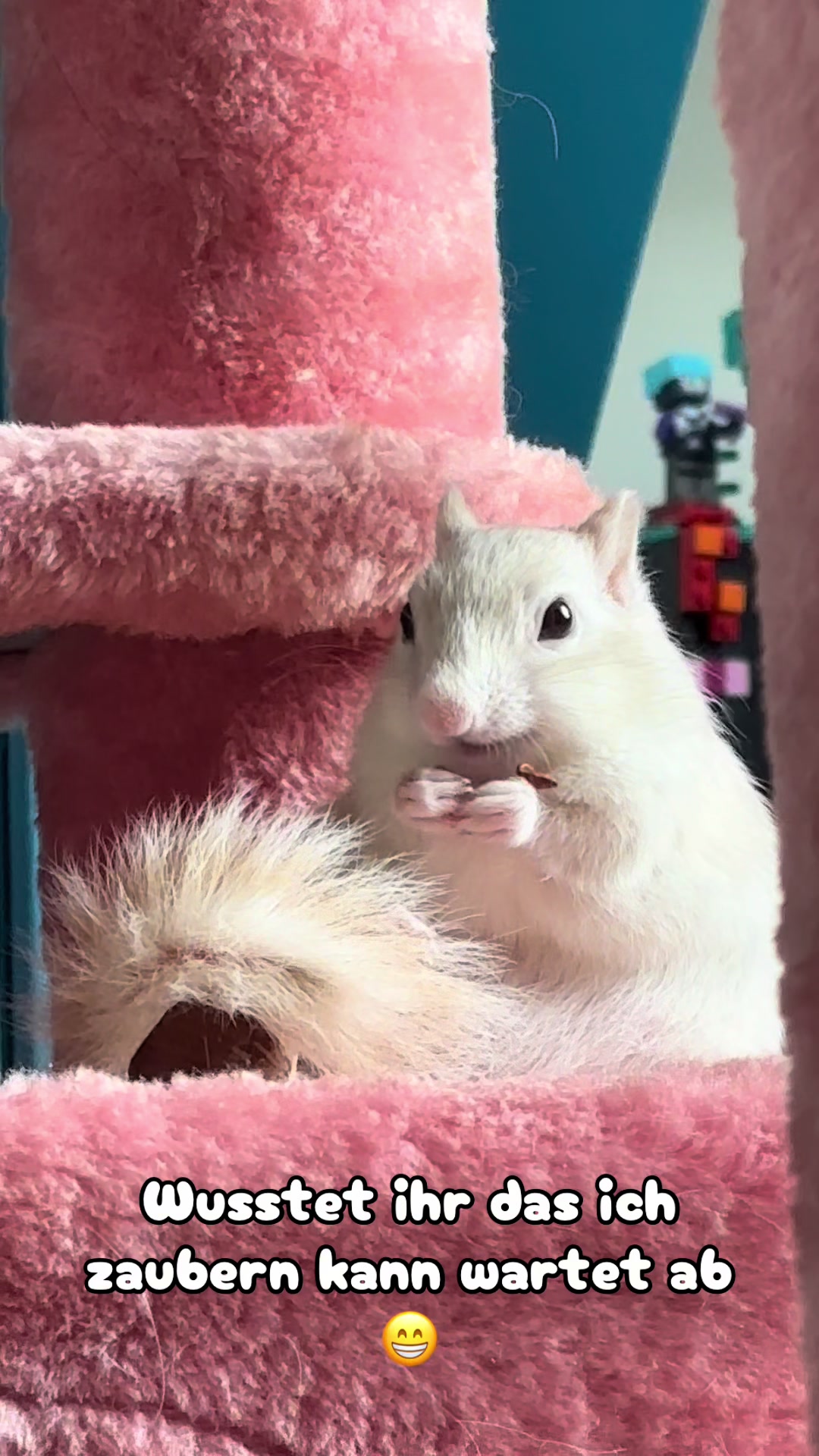 @Jenny&Skippi🐿️ TeamV🐿️u🦔🏰