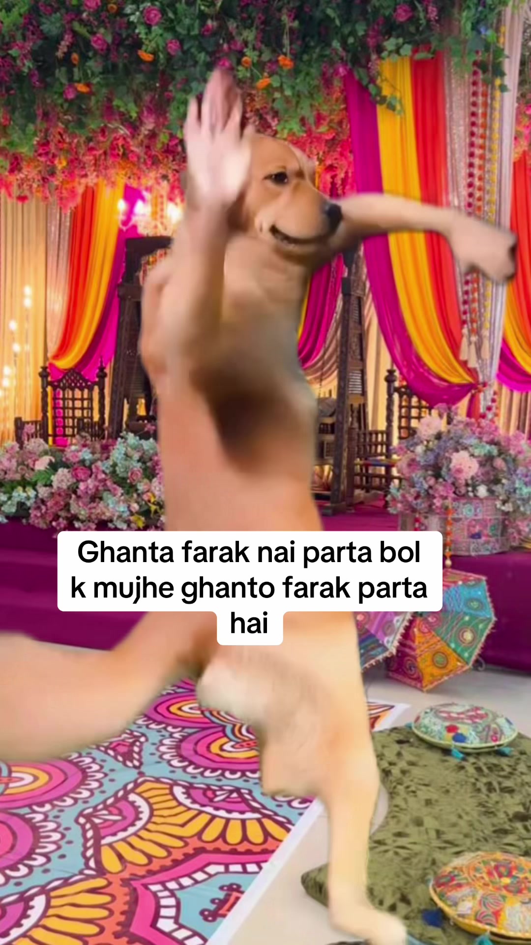 @desi_memes5