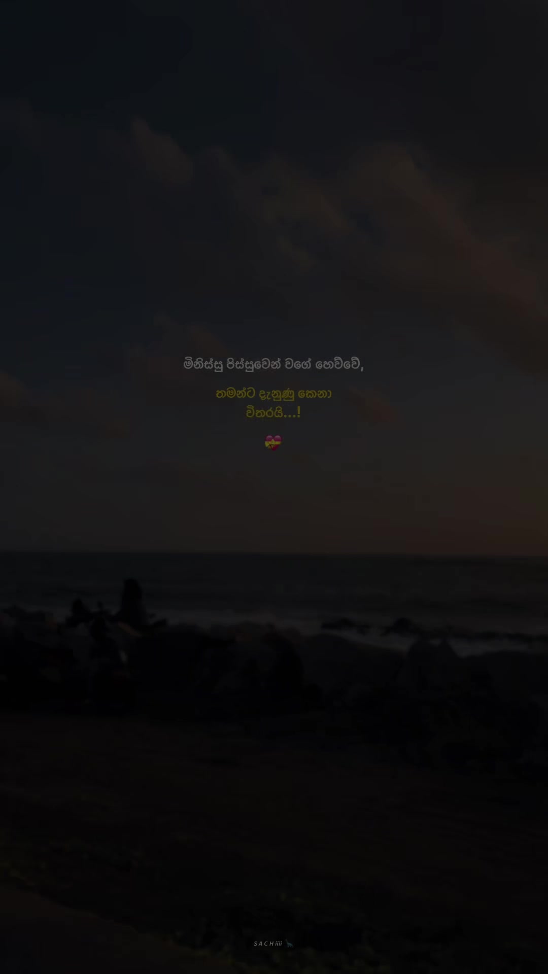 @𝙎 𝘼 𝘾 𝙃 𝙞𝙞𝙞𝙞 🦕