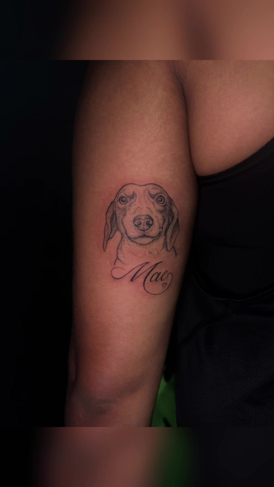 @Insane Ink Tattoo Studio
