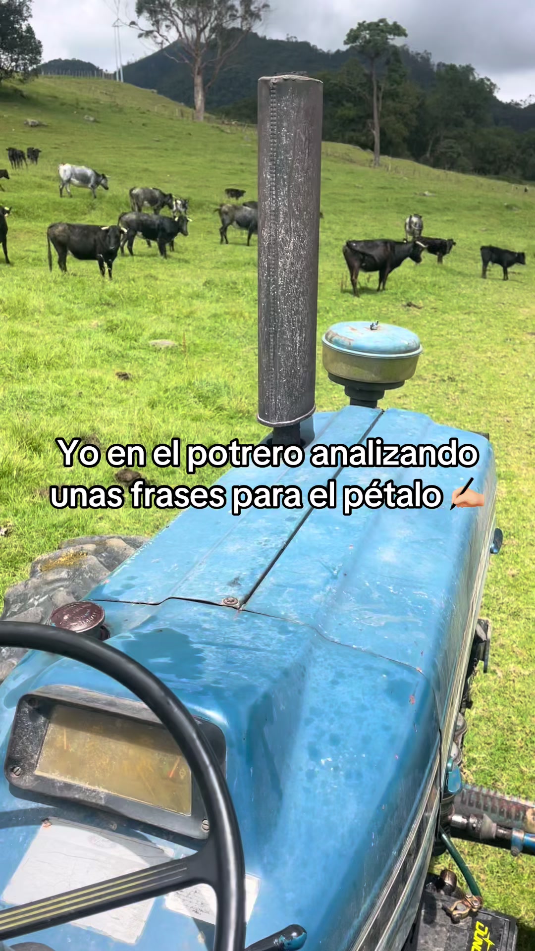 @Juan Rodríguez 🐄
