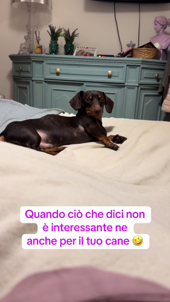 @🐾Mirtillo il bassotto🐾