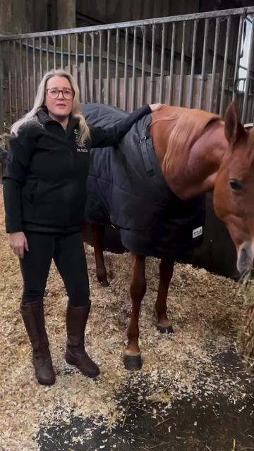 @RibbleValleyHorseRugs ®️