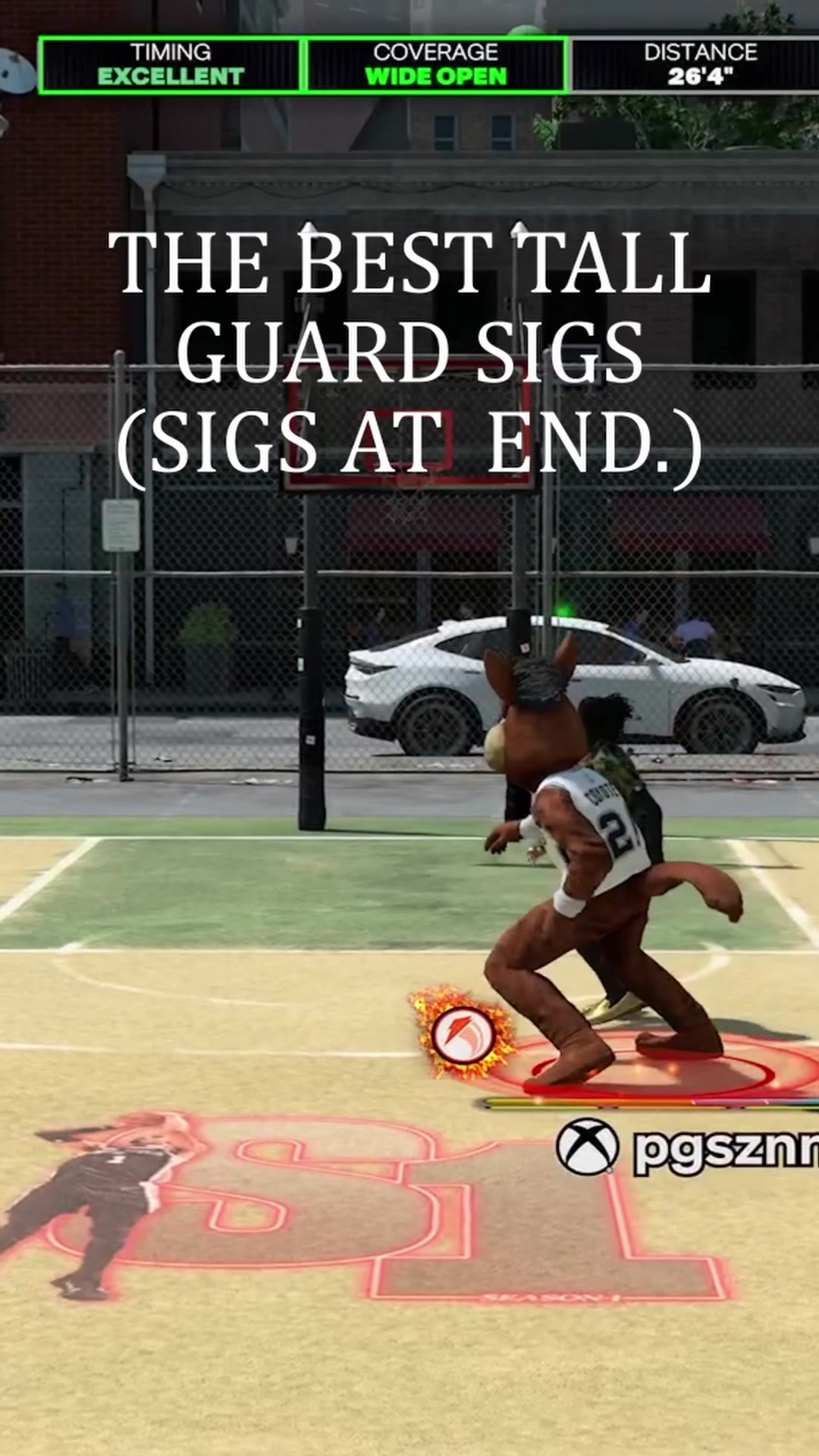 @pgszn