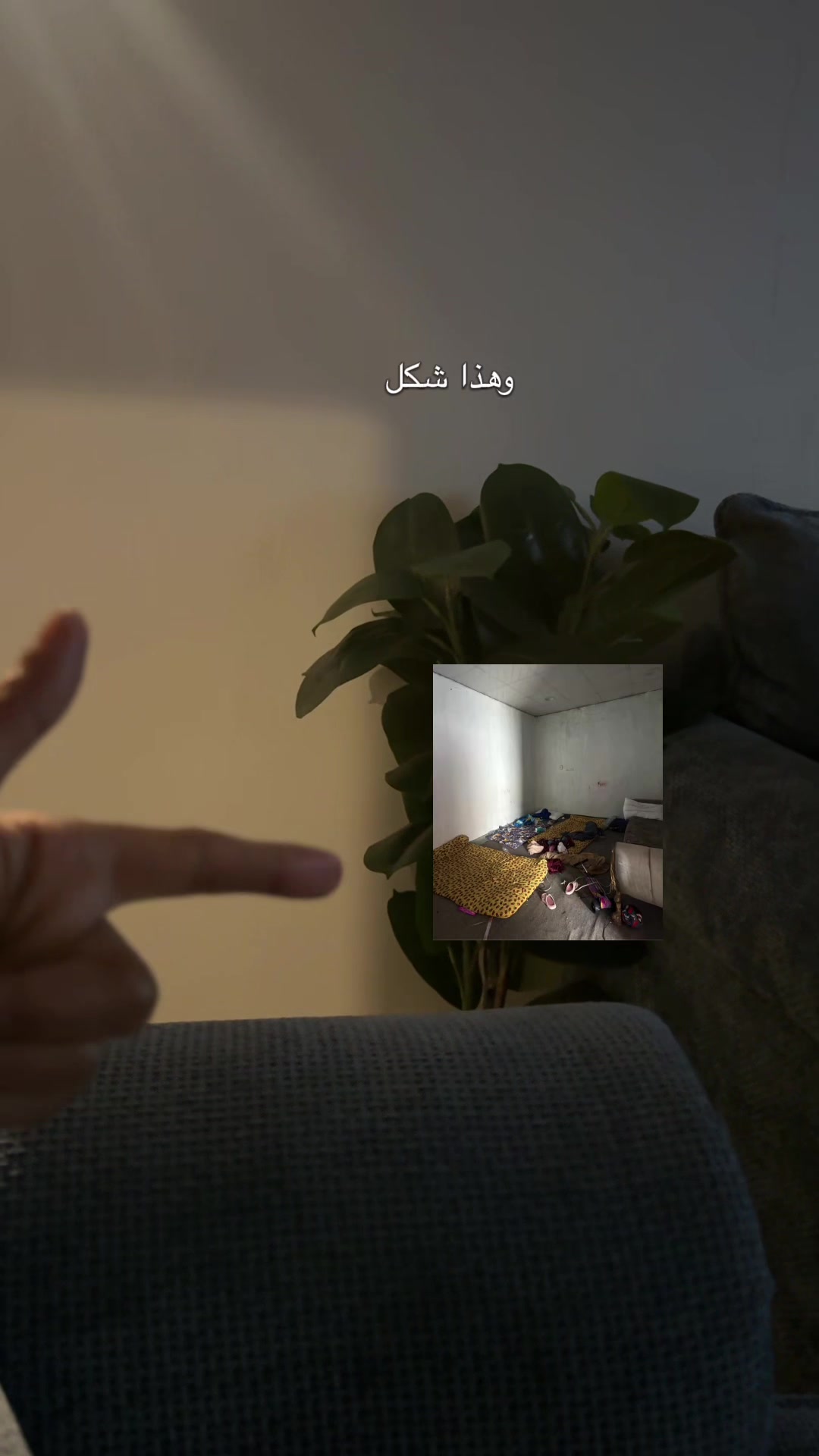 @أماني ام ذكرى👩🏼🦳
