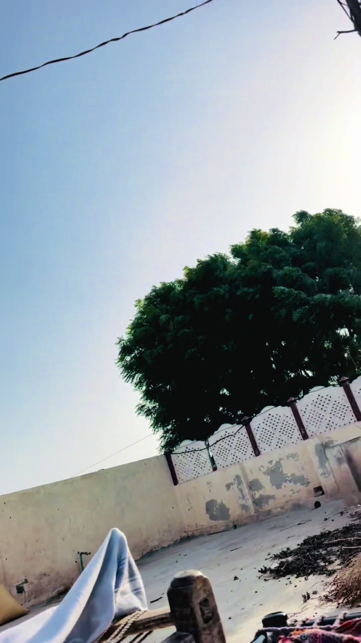 @Kashi Mini Vlog