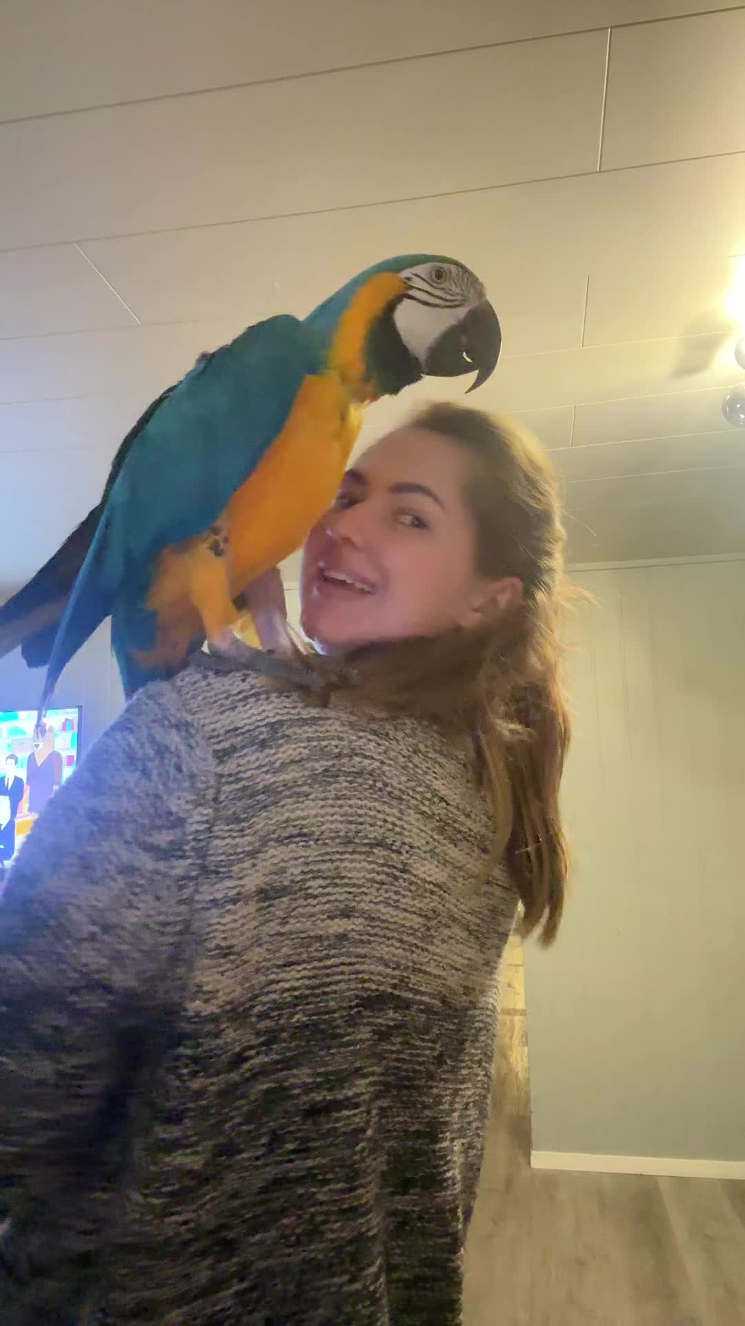 @APPELSINBANAN77777777777777