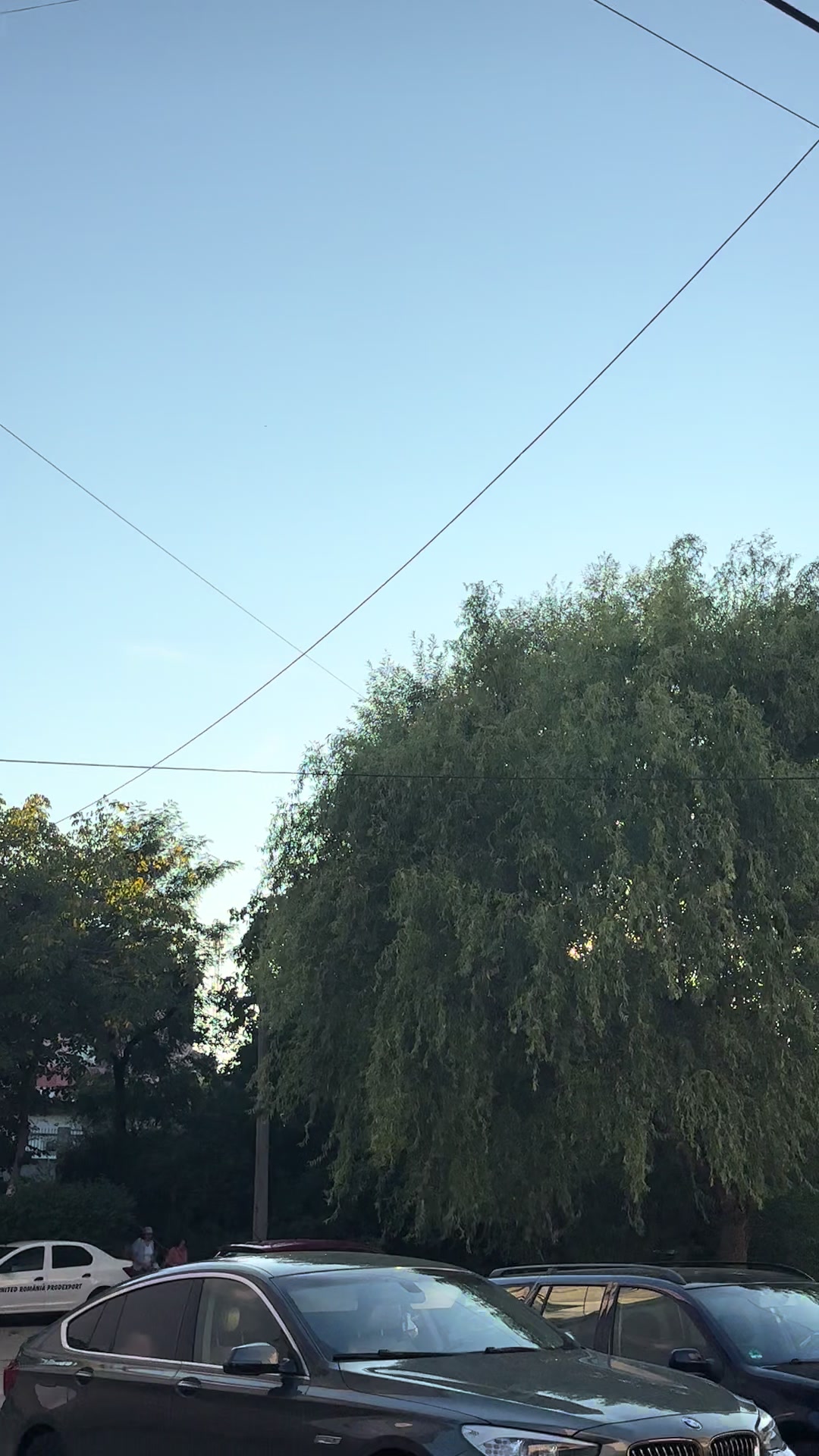 @8.antonio.carspotting