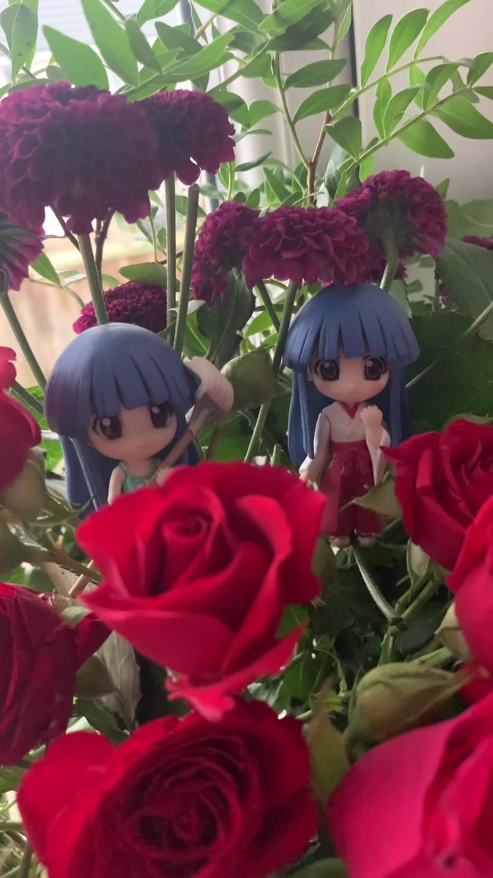 @rinne