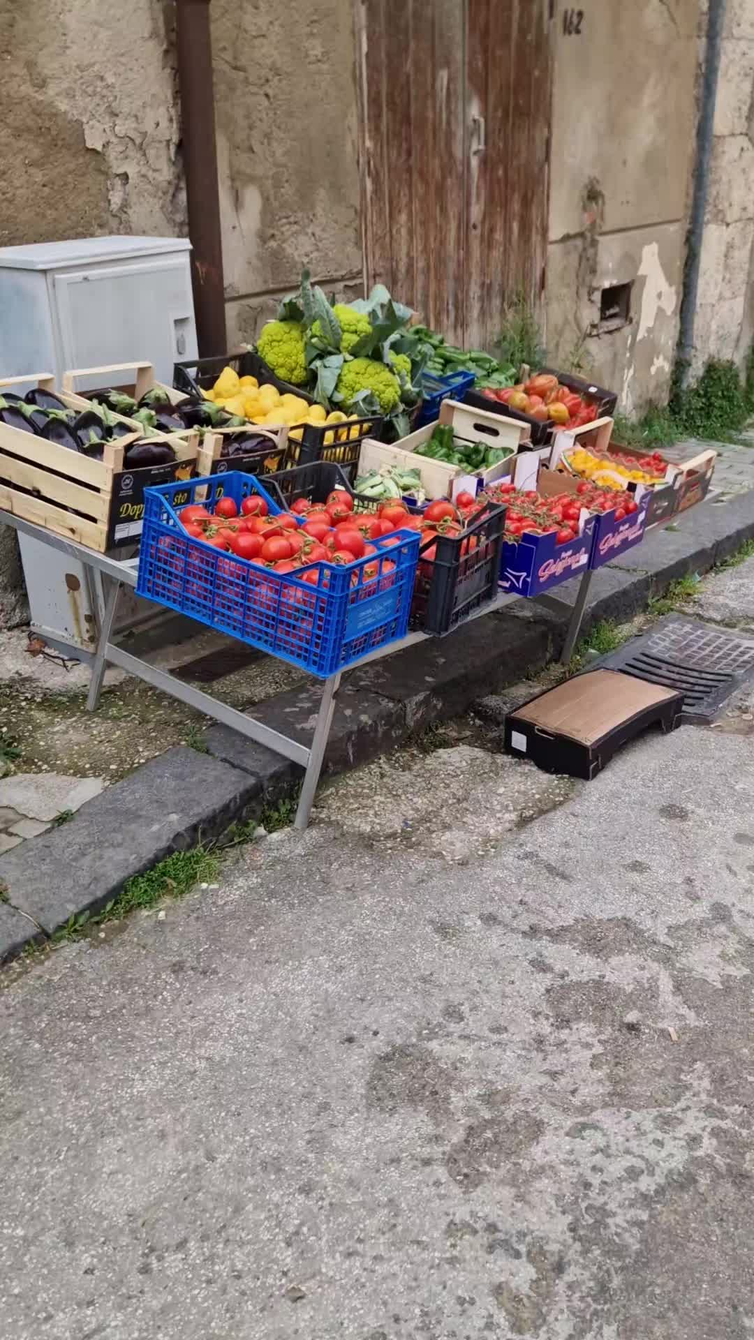 @GIUSEPPE CASTELLINO