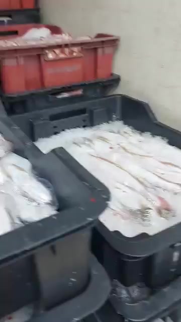 @Fouad pêcheur