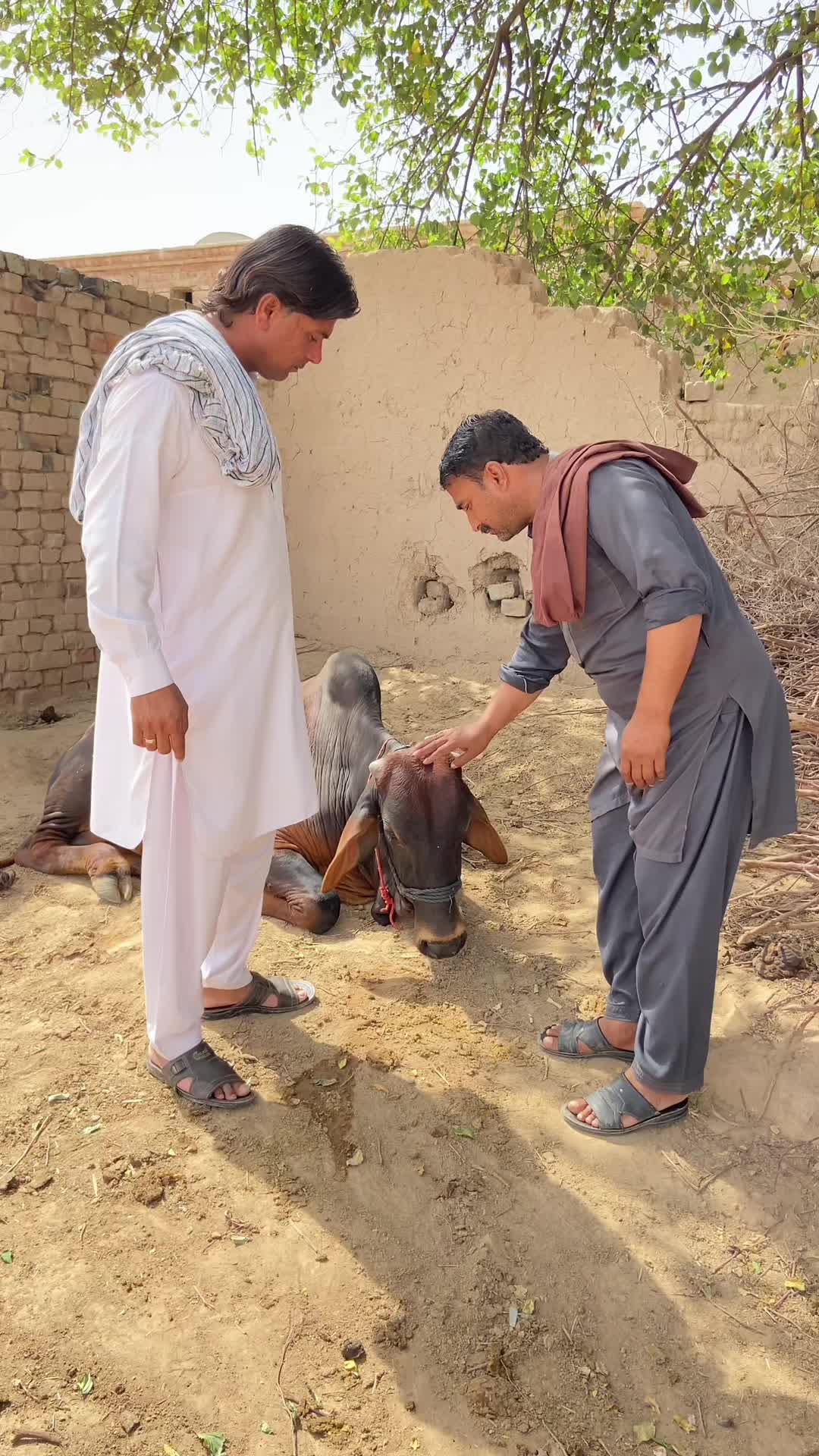 @Team Jawana Dii