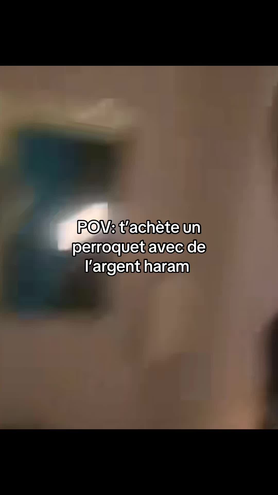 @VCT13K❌