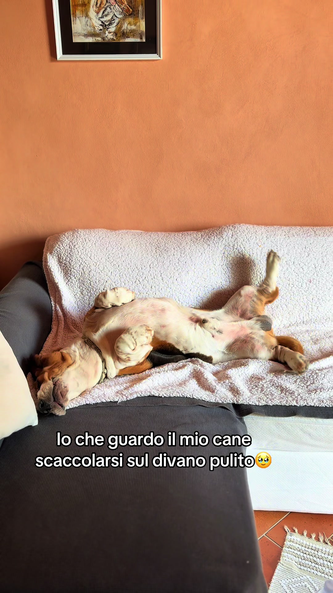 @Francesca Ghezzi
