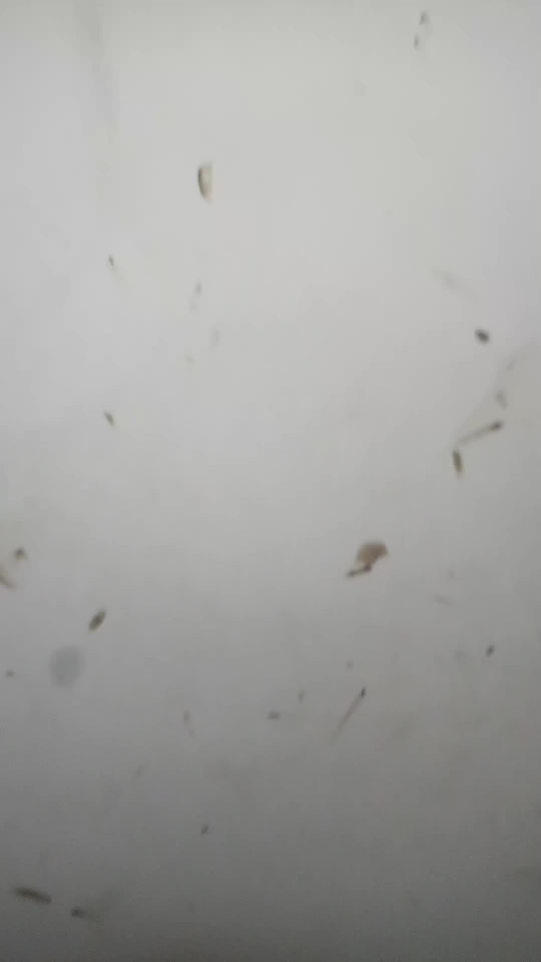 @Dylanoso81