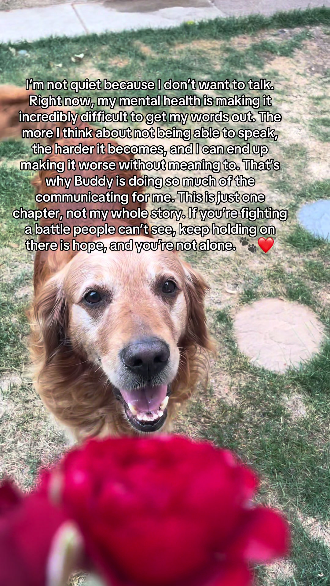 @Happy buddy