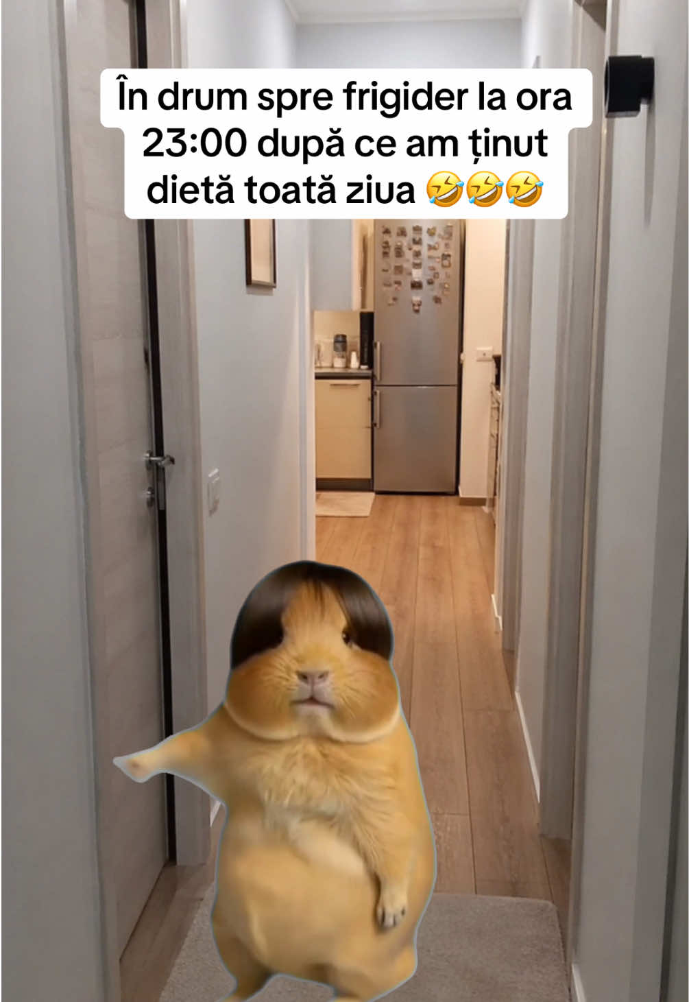 @Manuela Rus🤍