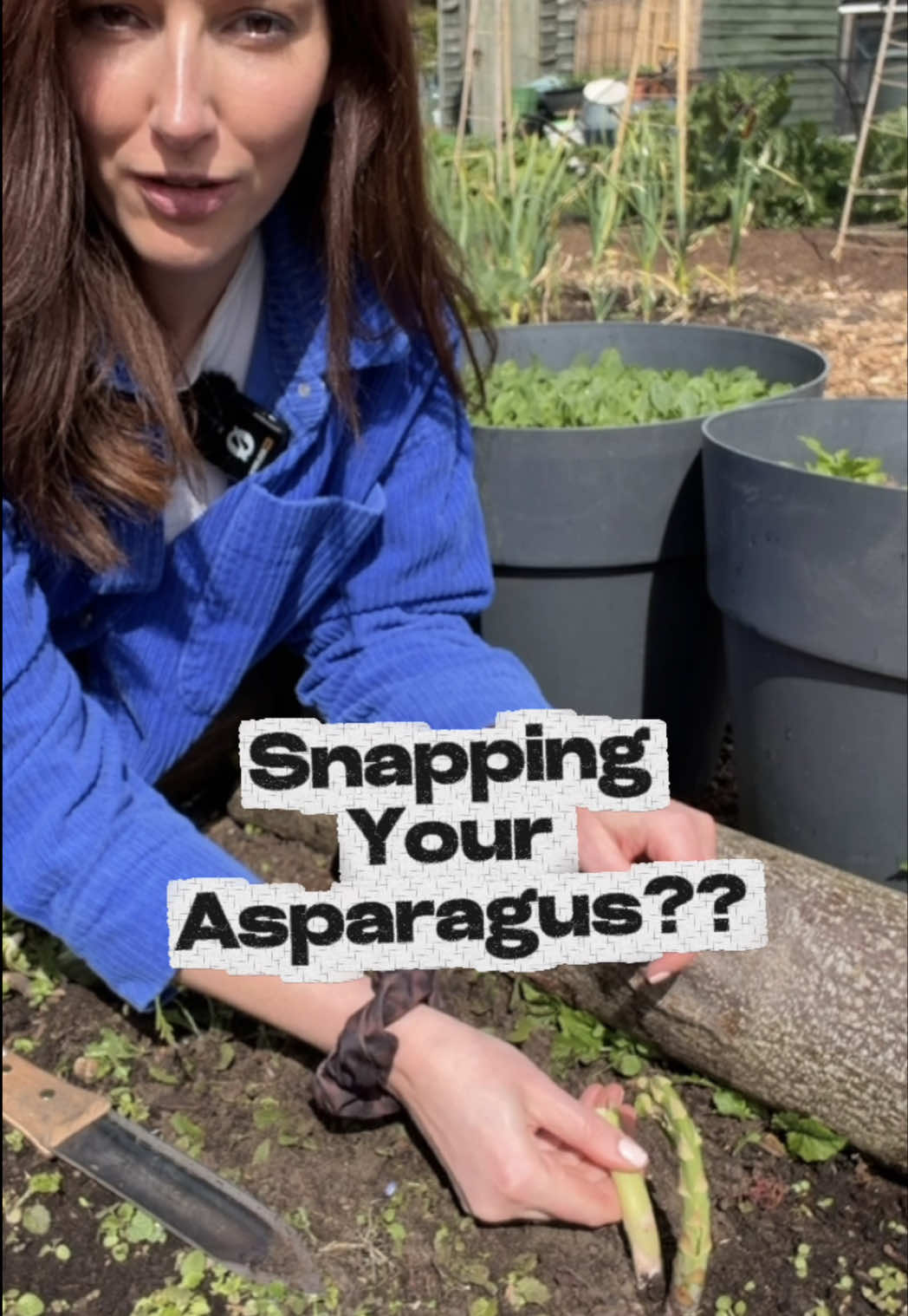 @thisgardenwillkillyou