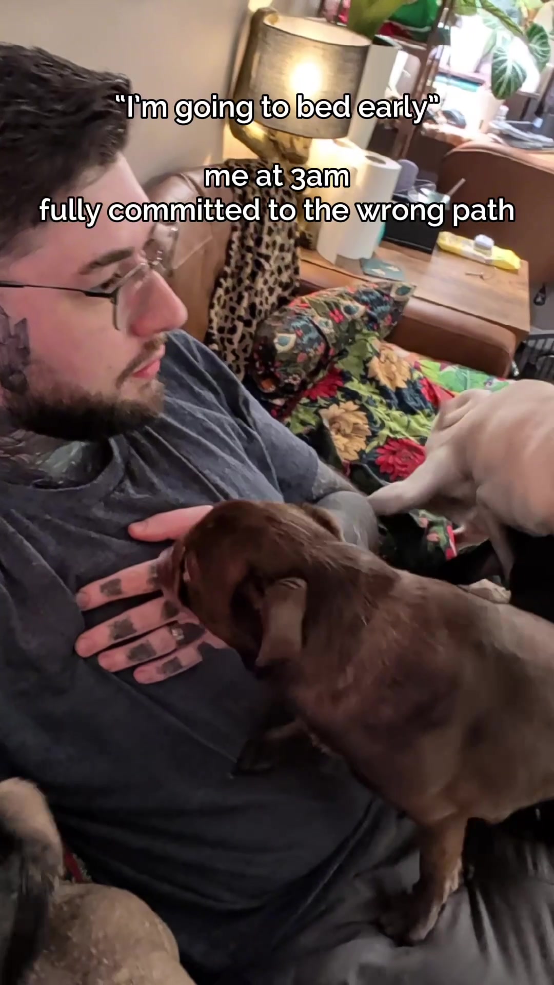@ChilliThePug