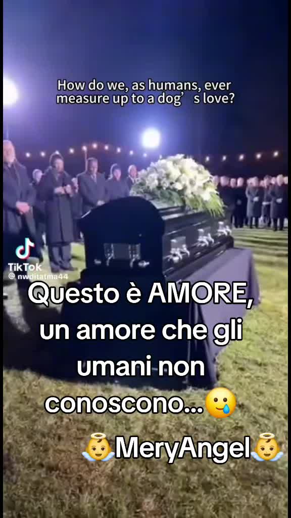 @👼MeryAngel👼