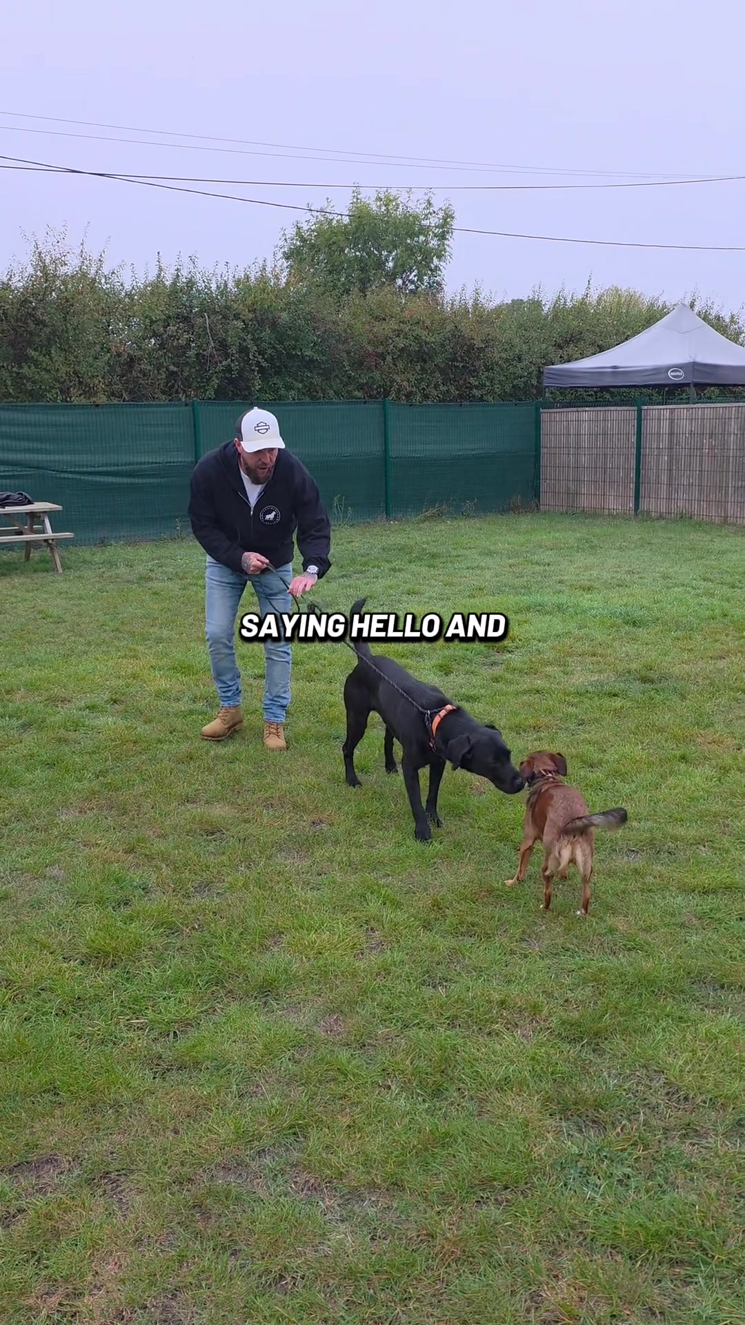 @SouthendDogTraining