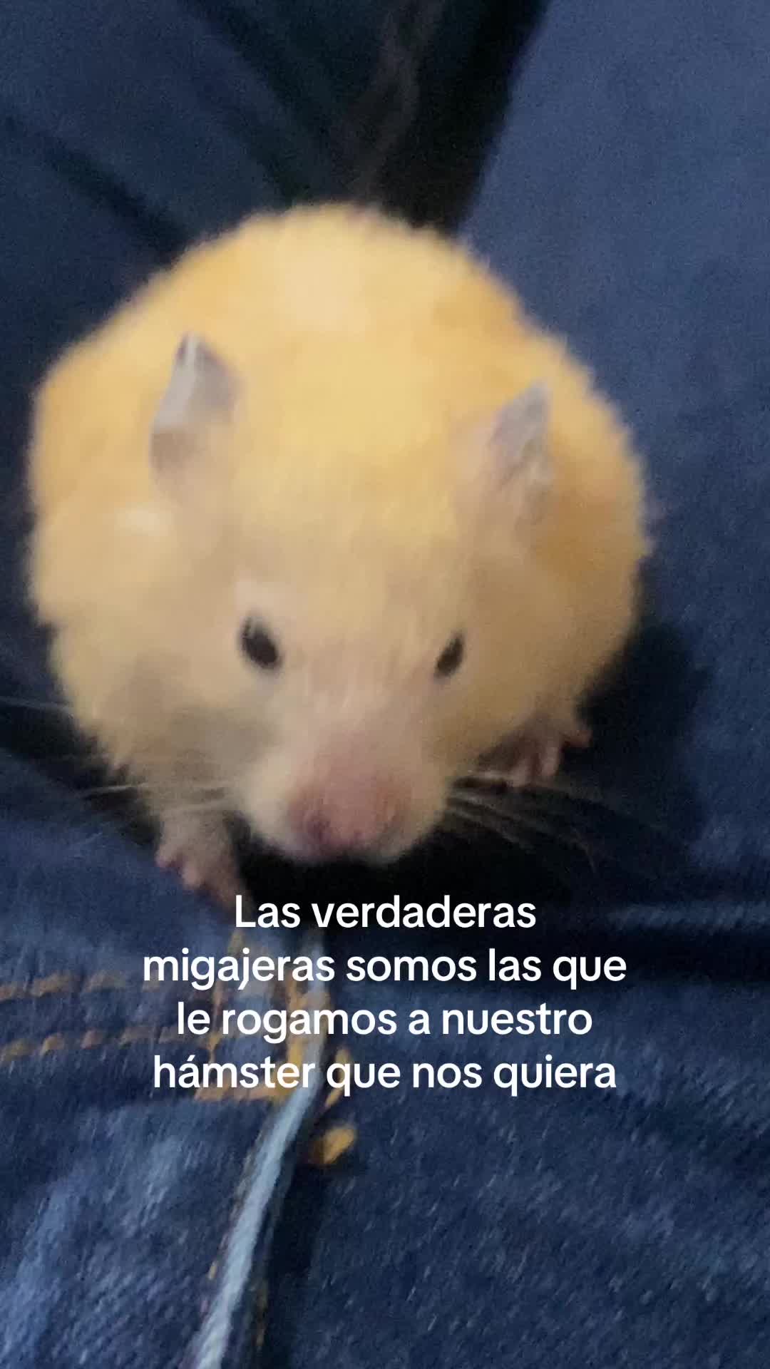 @karycbarron