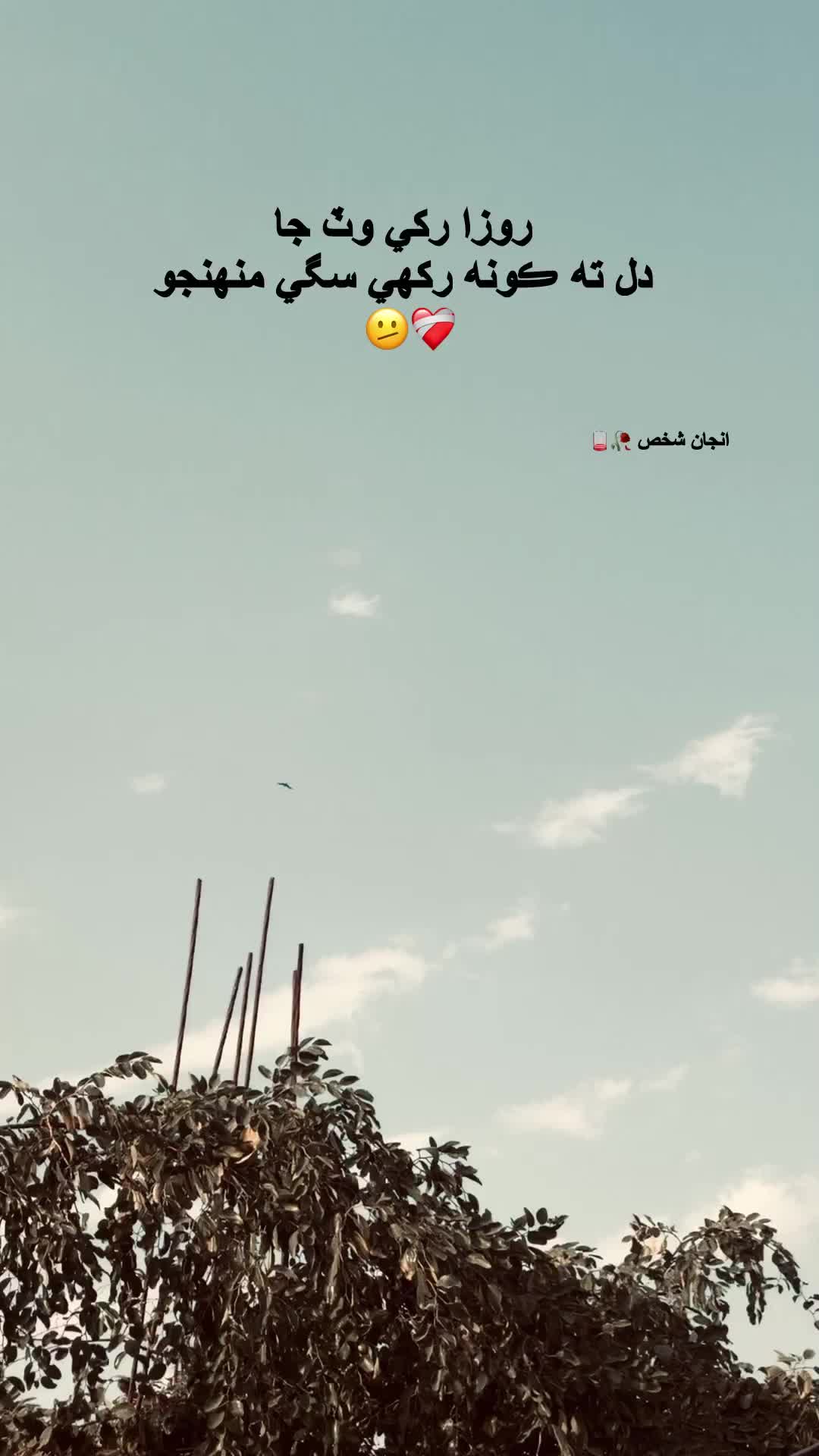 @انجاں شخص 🌘