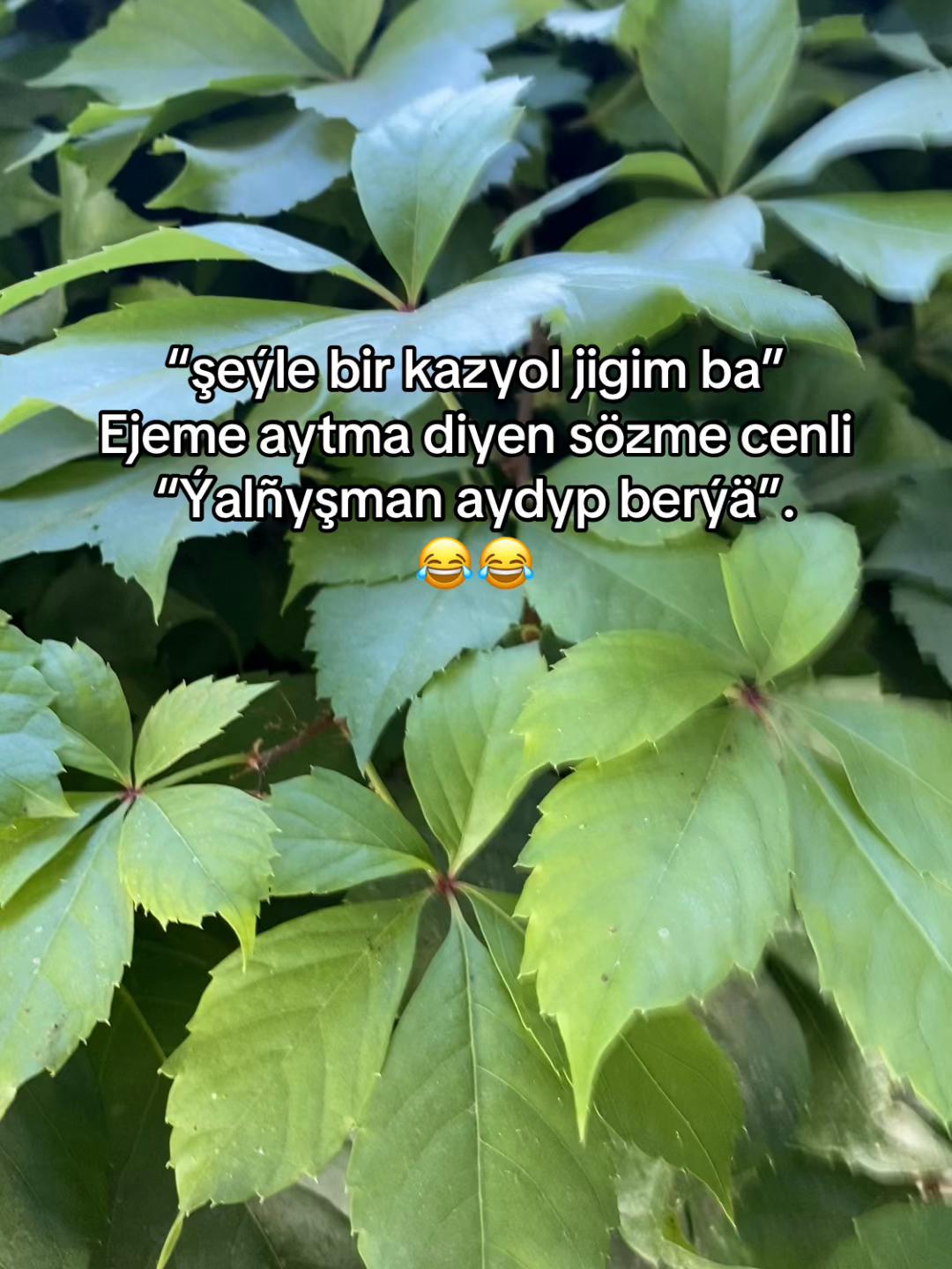@𝓡𝓮𝓼𝓾𝓵𝓸𝓿_ 