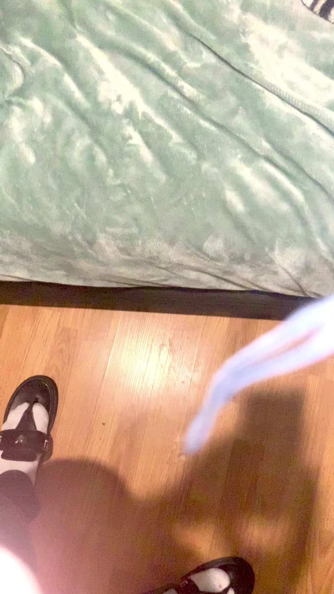 @(PG) aka PROMISE G(KYDky)