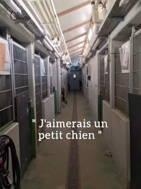@spa_strasbourg