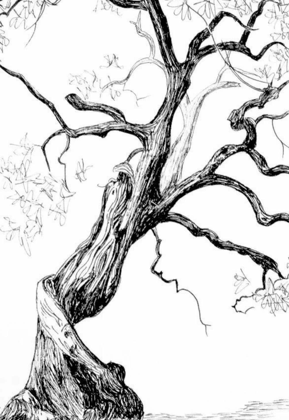 @sketching