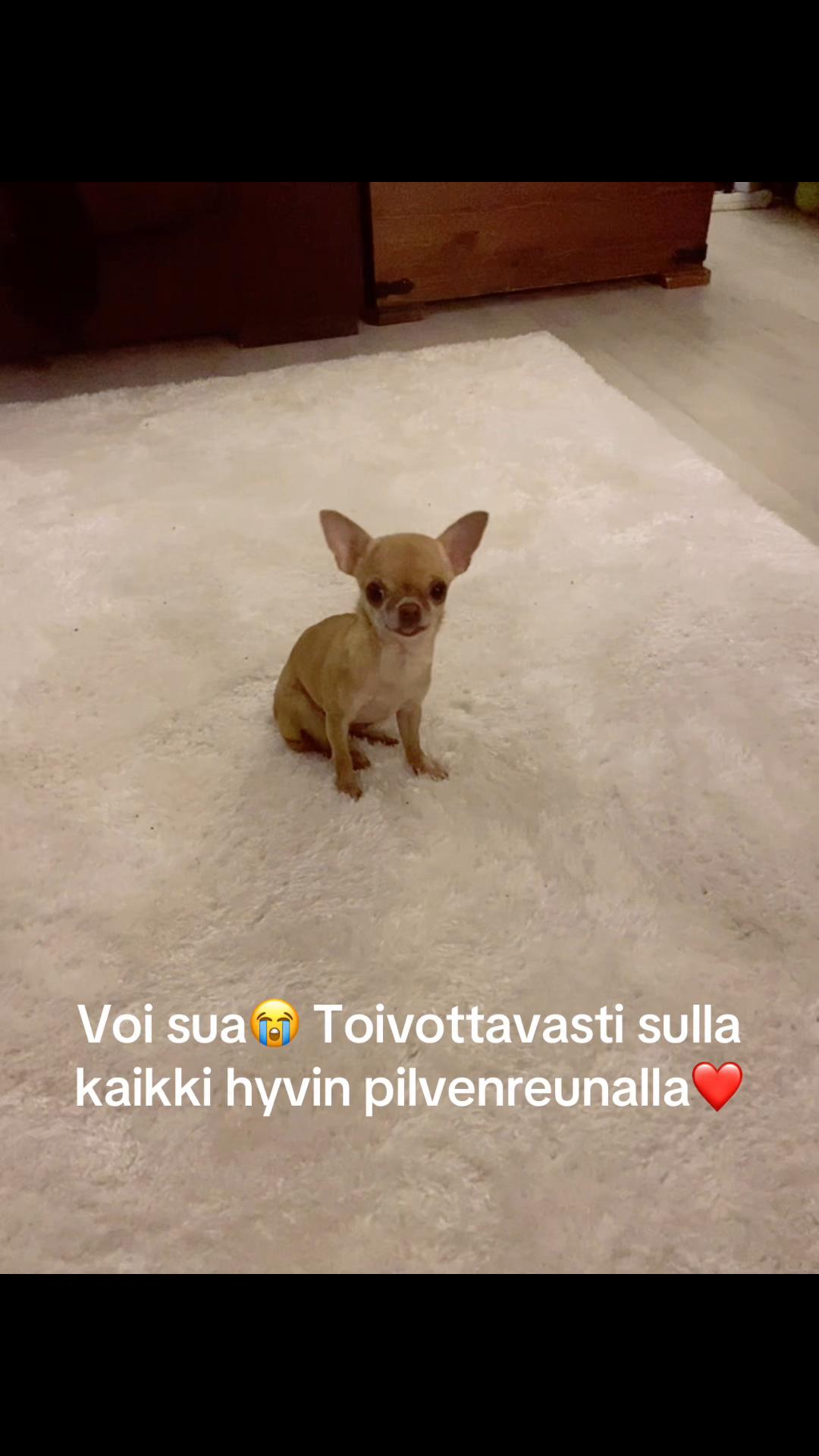 @Nordicwoman