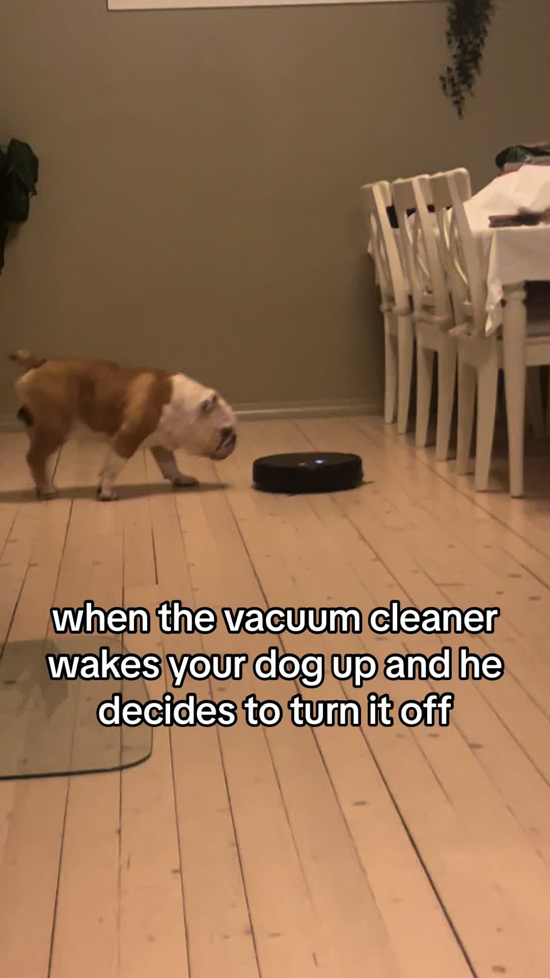 @bobandflodie