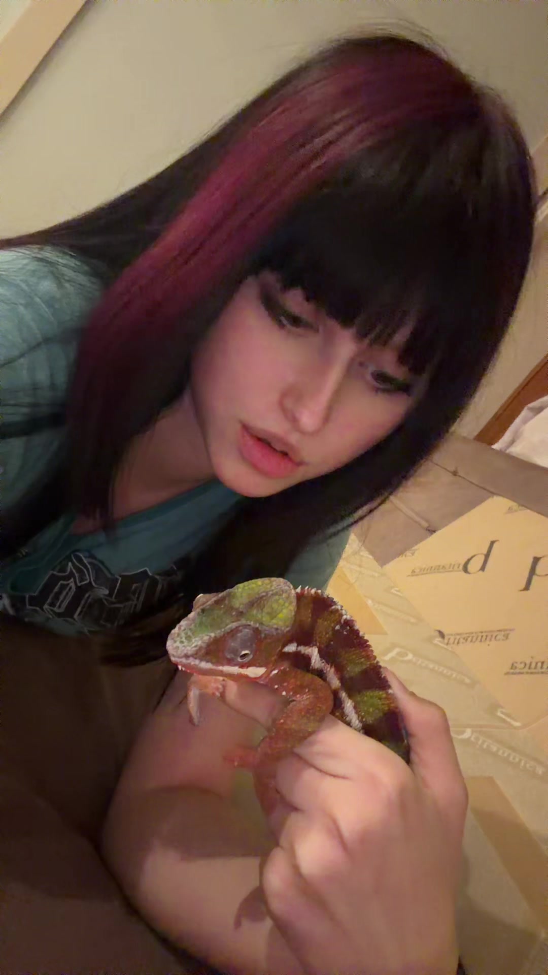 @тгк: стопбаба