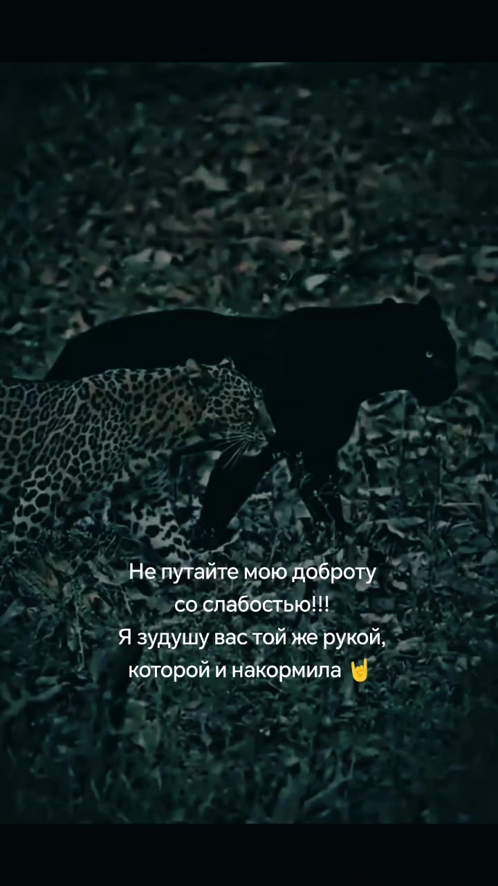 @🅓🅐🅡🅨🅐🖤
