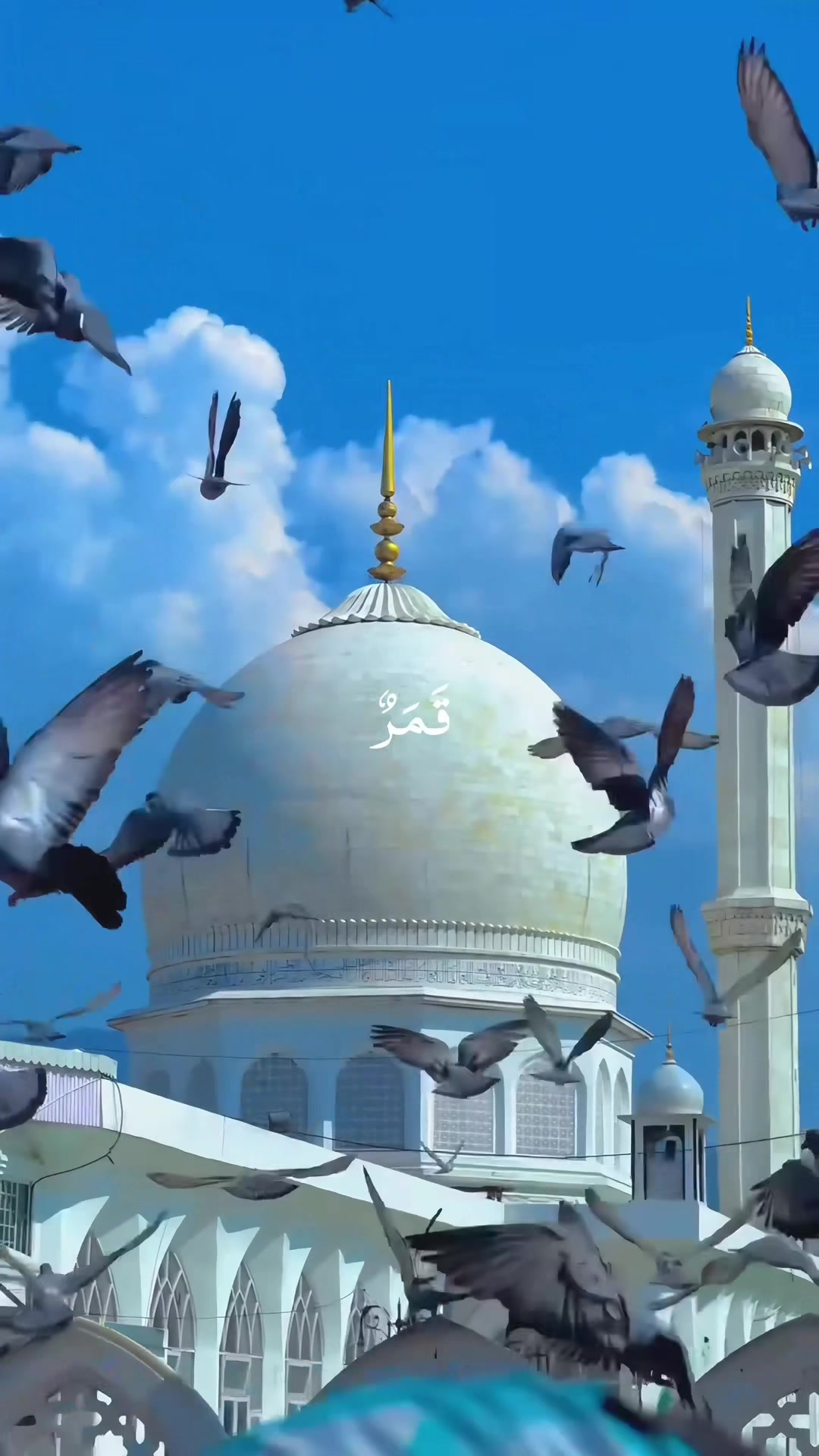 @Noor-e-Hidayat_ نورِ ہدایت